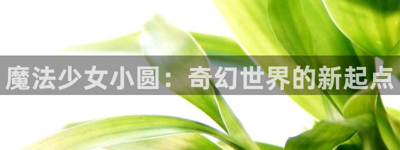 香蕉漫画在线免费看