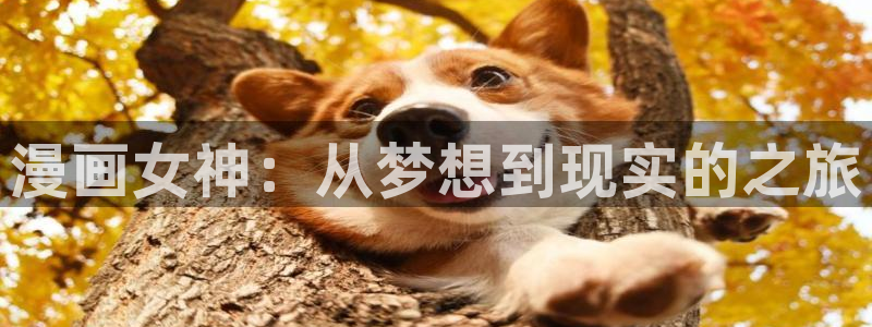 香蕉文化漫画大全