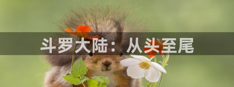香蕉文化漫画下拉式