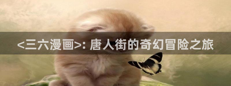 香蕉漫画网站在线入口